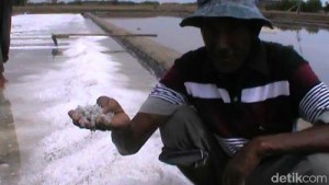 1fc469c9-063d-43db-b67f-db0f5cdb8065_169